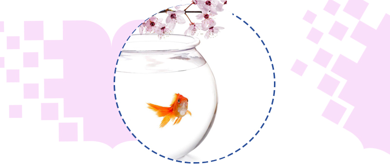 نوروز باستانی و آغاز سال 1402 مبارک